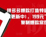 拼多多爆款打造特训营（持续更新中)，199元*100套可复制爆款案例