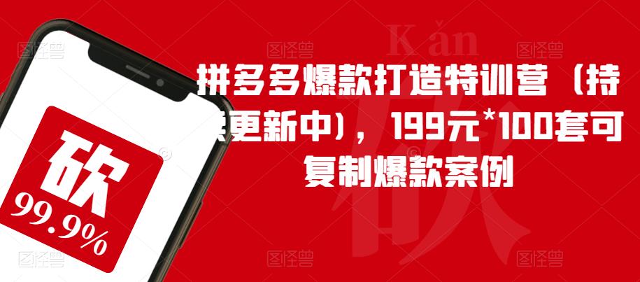 拼多多爆款打造特训营（持续更新中)，199元*100套可复制爆款案例