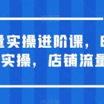 淘宝流量实操进阶课，8-15天放大流量实操，店铺流量不用愁