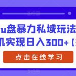 车载u盘暴力私域玩法，一部手机实现日入300+【揭秘】