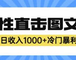 2023最新冷门暴利赚钱项目，人性直击图文号，日收入1000+【揭秘】