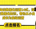 2023淘宝数据化运营14式，深度解析数据化知识，帮你从小白成长为高级运营