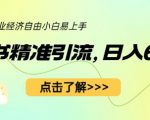 小红书精准引流，小白日入600+，轻松实现副业经济自由（教程+1153G资源）