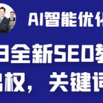 2023最新网站AI智能优化SEO教程，简单快速出权重，AI自动写文章+AI绘画配图