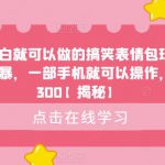 新手小白就可以做的搞笑表情包玩法，简单粗暴，一部手机就可以操作，日入300【揭秘】