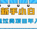 新手小白如何通过卖项目年入50W【揭秘】