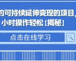 日入500+的可持续延伸变现的项目，每天2小时操作轻松【揭秘】