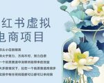 小红书虚拟电商从0到1，让你从小白到精英（20节实操课程）