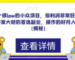 一个很low的小众项目，但利润非常巨大，闷声发大财的首选副业，操作的好月入过万【揭秘】