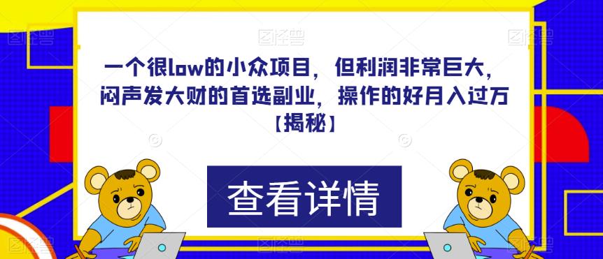 一个很low的小众项目，但利润非常巨大，闷声发大财的首选副业，操作的好月入过万【揭秘】