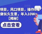 B站小说项目，风口项目，操作0难度，可做长久生意，年入10W+【揭秘】