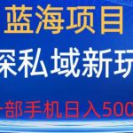 蓝海项目，探探私域新玩法，一部手机日入500+很轻松【揭秘】