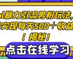 Soul暴力引流男粉玩法，轻松实现每天500＋收益！【揭秘】