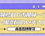 视频号做下雨视频一个账号一周涨粉10W+年入100w【揭秘】