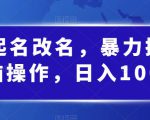 婴儿起名改名，暴力掘金，无脑操作，日入1000+【揭秘】