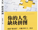 某高赞电子书《你的人生，缺块拼图——我靠“割韭菜”，年赚500万，你会你也可以》