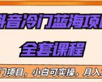 外面收费1288的抖音冷门蓝海项目，新手也可批量操作，月入1W+【揭秘】