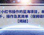 适合在小红书操作的蓝海项目，单人日收入过千，操作及其简单（保姆级玩法）【揭秘】