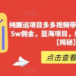 纯搬运项目多多视频带货，一个月搞了5w佣金，蓝海项目，纯小白也能操作【揭秘】