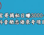 宝哥揭秘日赚3000+抖音励志语录号短视频变现项目