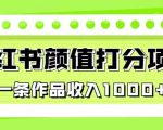 最新蓝海项目，小红书颜值打分项目，一条作品收入1000+【揭秘】