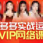 推易拼多多VIP全套直播课程，拼多多店铺实操玩法+实战玩法选款内功+直通车高阶等