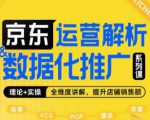 京东运营解析与数据化推广系列课，全维度讲解京东运营逻辑+数据化推广提升店铺销售额