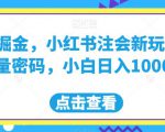 流量掘金，小红书注会新玩法，流量密码，小白日入1000+【揭秘】