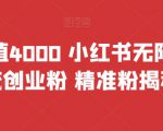 首发价值4000 小红书无限艾特暴力引流创业粉 精准粉揭秘教程