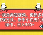 第一视角类短视频，更新多样化变现方式，新手小白无门槛操作，日入500+【揭秘】