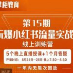 辛言玩爆小红书流量实战班，小红书种草是内容营销的重要流量入口