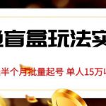 独家首发咸鱼盲盒玩法实操，半个月批量起号单人15万收益【揭秘】