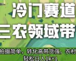 冷门赛道三农领域带货，视频拍摄简单，转化高带货强，农村必做！【揭秘】