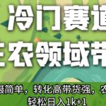 冷门赛道三农领域带货，视频拍摄简单，转化高带货强，农村必做！【揭秘】