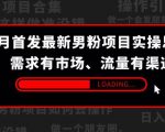 9月首发最新男粉项目实操思路-需求有市场，流量有渠道【揭秘】