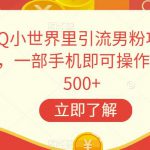 在QQ小世界里引流男粉项目新玩法，一部手机即可操作，一天500+【揭秘】