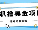 最新挂机撸美金礼品卡项目，可批量操作，单机器200+【入坑思路+详细教程】