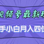 影视号最新玩法，新手小白月入四位数，零粉直接上手【揭秘】