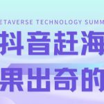 最新抖音快手赶海无人直播流量庞大，效果出奇的好（教程+素材）