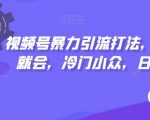 视频号暴力引流打法，小白一看就会，冷门小众，日入300+【揭秘】