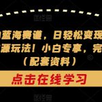 非常冷门的蓝海赛道，日轻松变现500+，剧本杀虚拟资源玩法！小白专享，完全0成本！（配套资料）