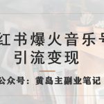 小红书爆火音乐号引流变现项目，视频版一条龙实操玩法分享给你