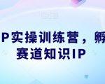 知识IP实操训练营，​孵化多赛道知识IP