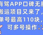 有驾APP口碑无脑搬运项目又来了，单号最高110块，可多号操作