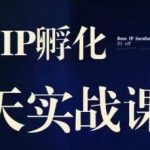 诸葛·2023老板IP实战课，实体同城引流获客，IP孵化必听