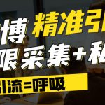 微博最新引流技术，软件提供博文评论采集+私信实现精准引流【揭秘】