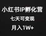 价值2000+的小红书IP孵化营项目，超级大蓝海，七天即可开始变现，稳定月入1W+