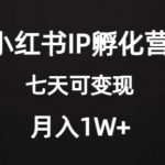 价值2000+的小红书IP孵化营项目，超级大蓝海，七天即可开始变现，稳定月入1W+