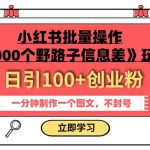 小红书批量操作《1000个野路子信息差》玩法，一分钟制作一个图文，不封号，日引100+创业粉
