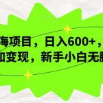 新蓝海项目，日入600+，视频号叠加变现，新手小白无脑操作【揭秘】